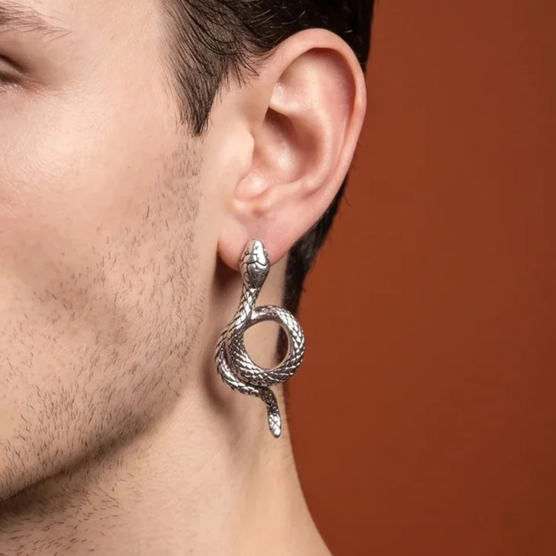 Silver Coiled Snake Earrings | Vybe Global Store