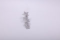 Hammered Star Row Hairpin