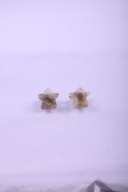 Ini Acetate Hair Claw Clips