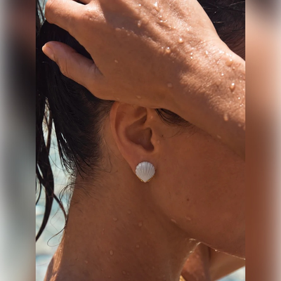 Seashell Stud Earrings
