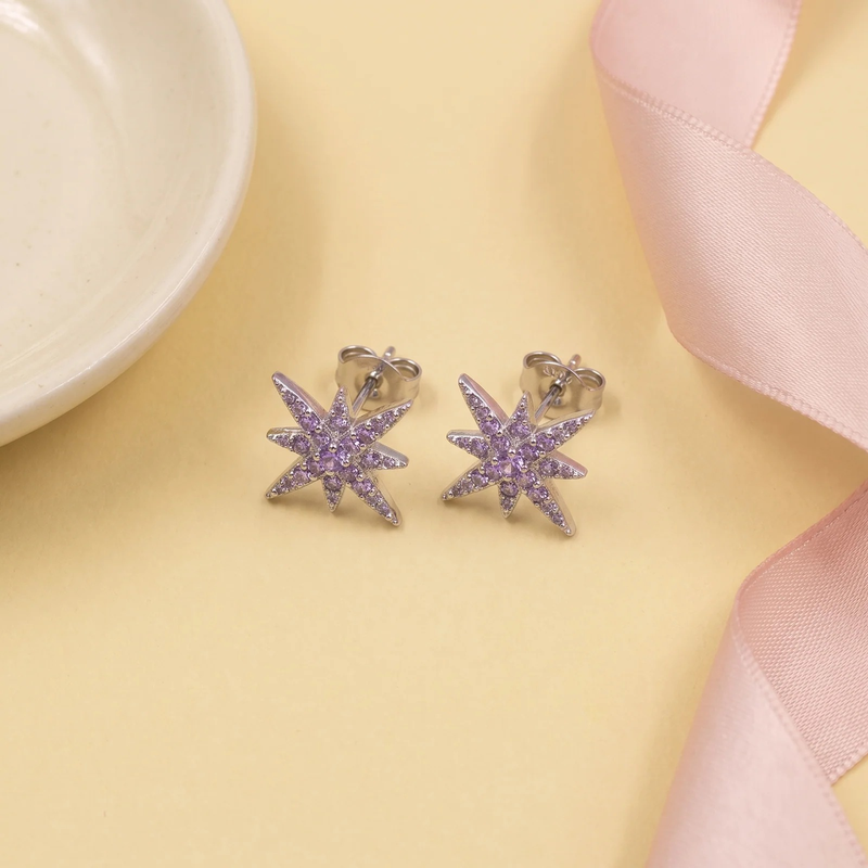 Flat lay of Crystal Northstar Stud Earrings