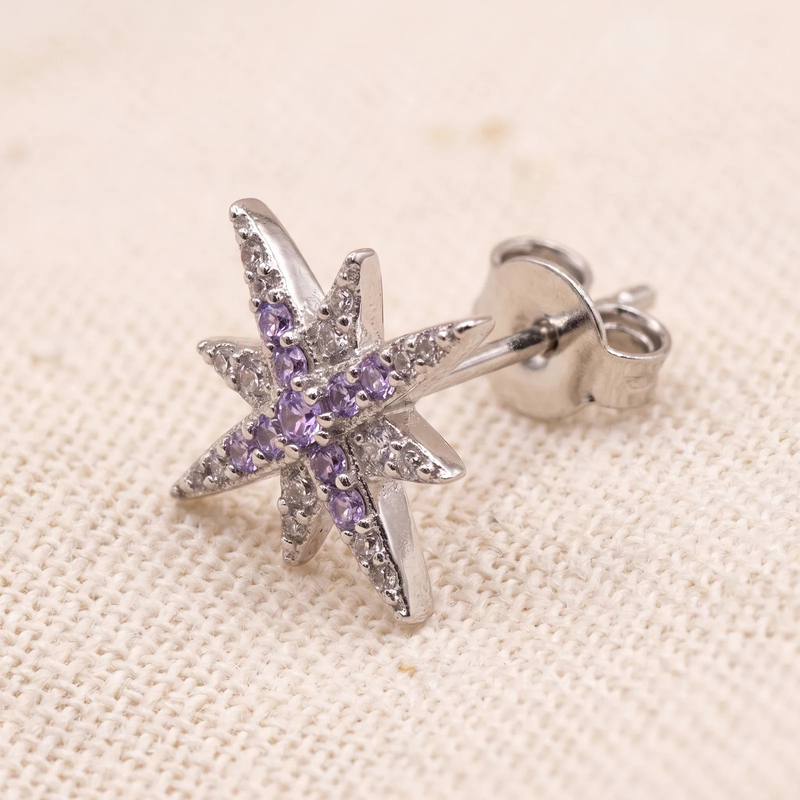 Close-up detail of Crystal Northstar Stud Earrings