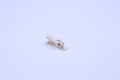 Crystal & Pearl Alligator Hair Clip